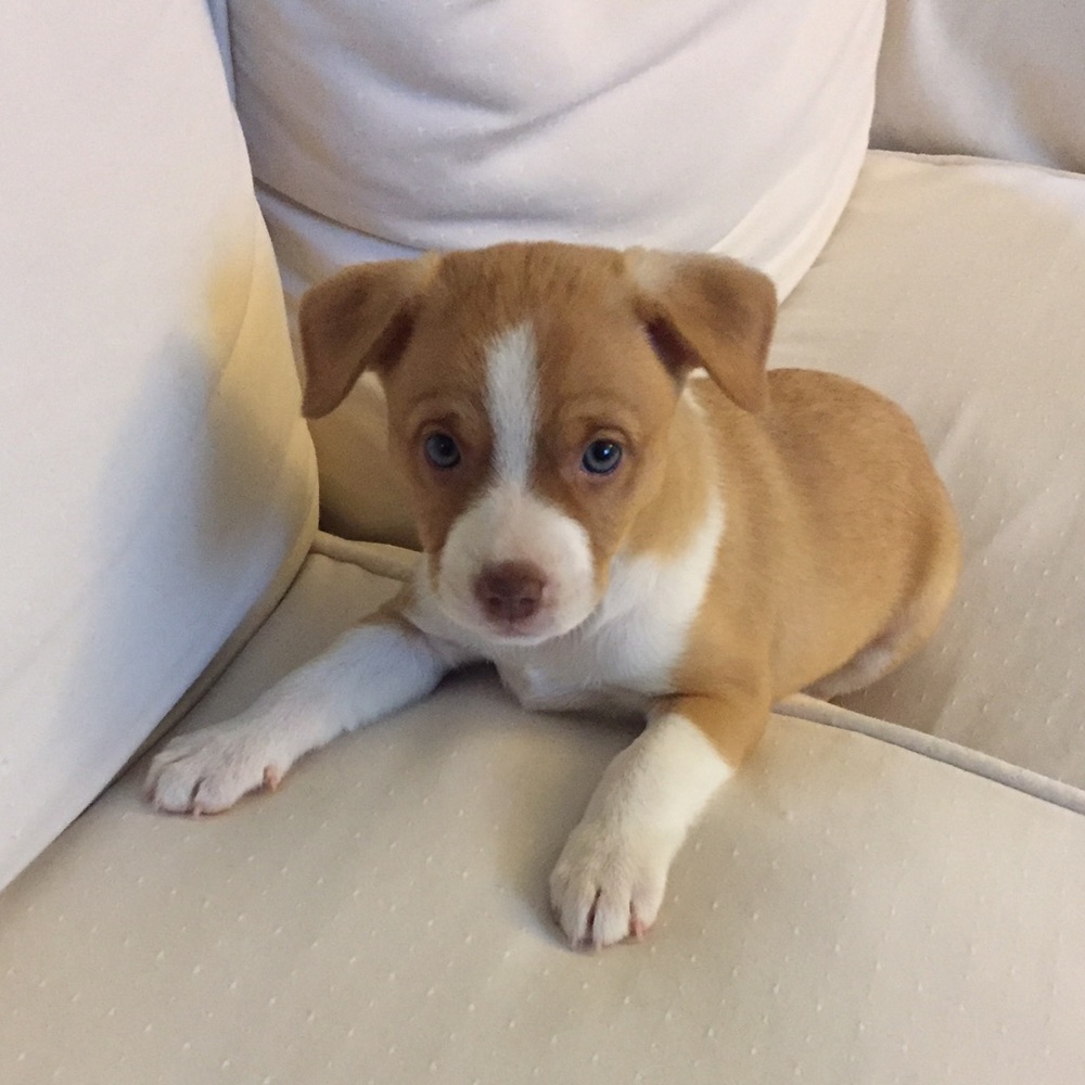 Meet your Posher, Jamie