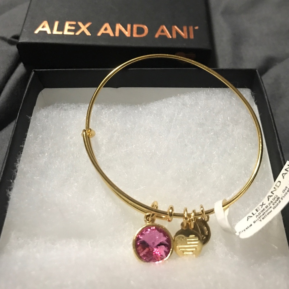 Alex and Ani bracelet