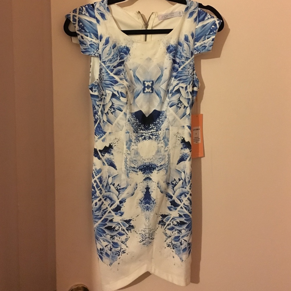 Blue/White day dress
