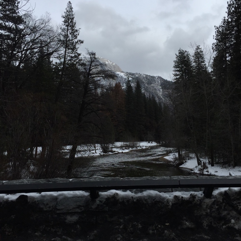 Meet your Posher, Crystal