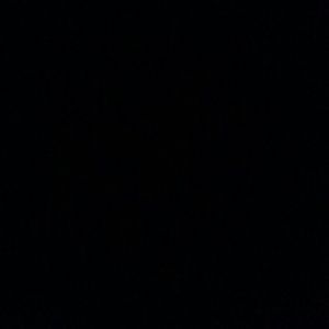 Meet your Posher, Lili