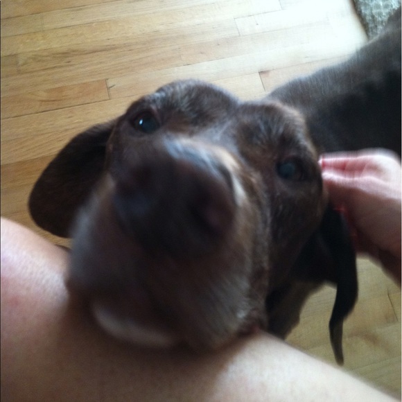 Meet your Posher, Linda - Picture 4 of 5