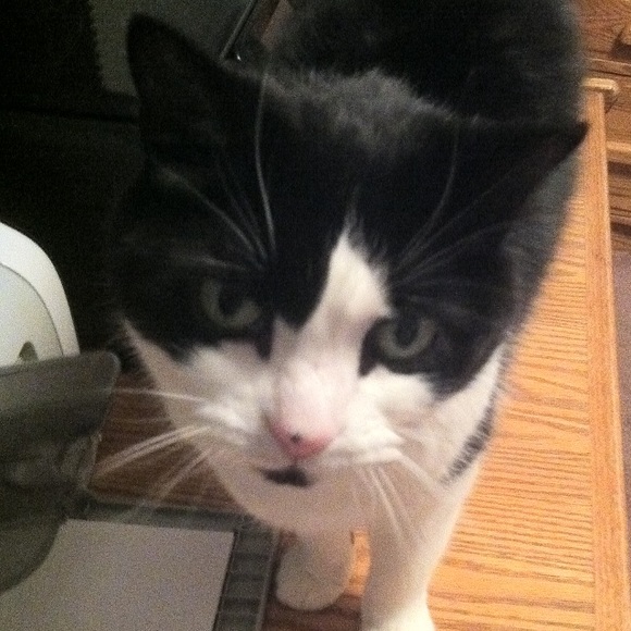 Meet your Posher, Linda - Picture 5 of 5