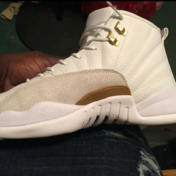 Jordan OVO 12s main image 3