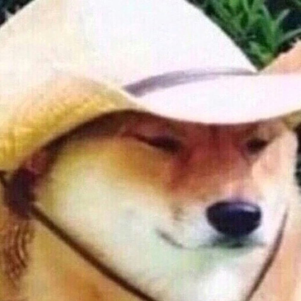 Meet your Posher, Cameron