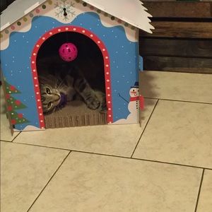 Meet your Posher, Candace