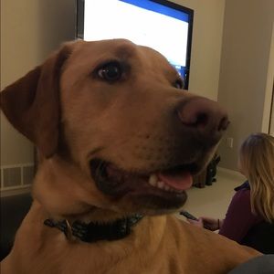 Meet your Posher, Spencer