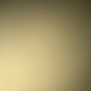 Meet your Posher, Shane