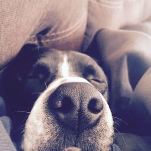 Meet your Posher, Karie