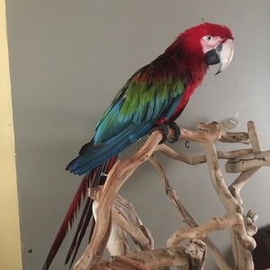 Meet your Posher, Leticia