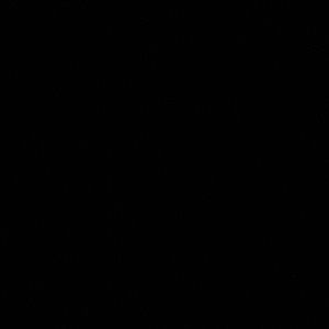 Meet your Posher, Bernie