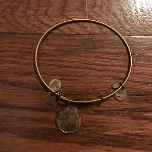 Alex and Ani bracelet