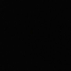 Meet your Posher, Cesar