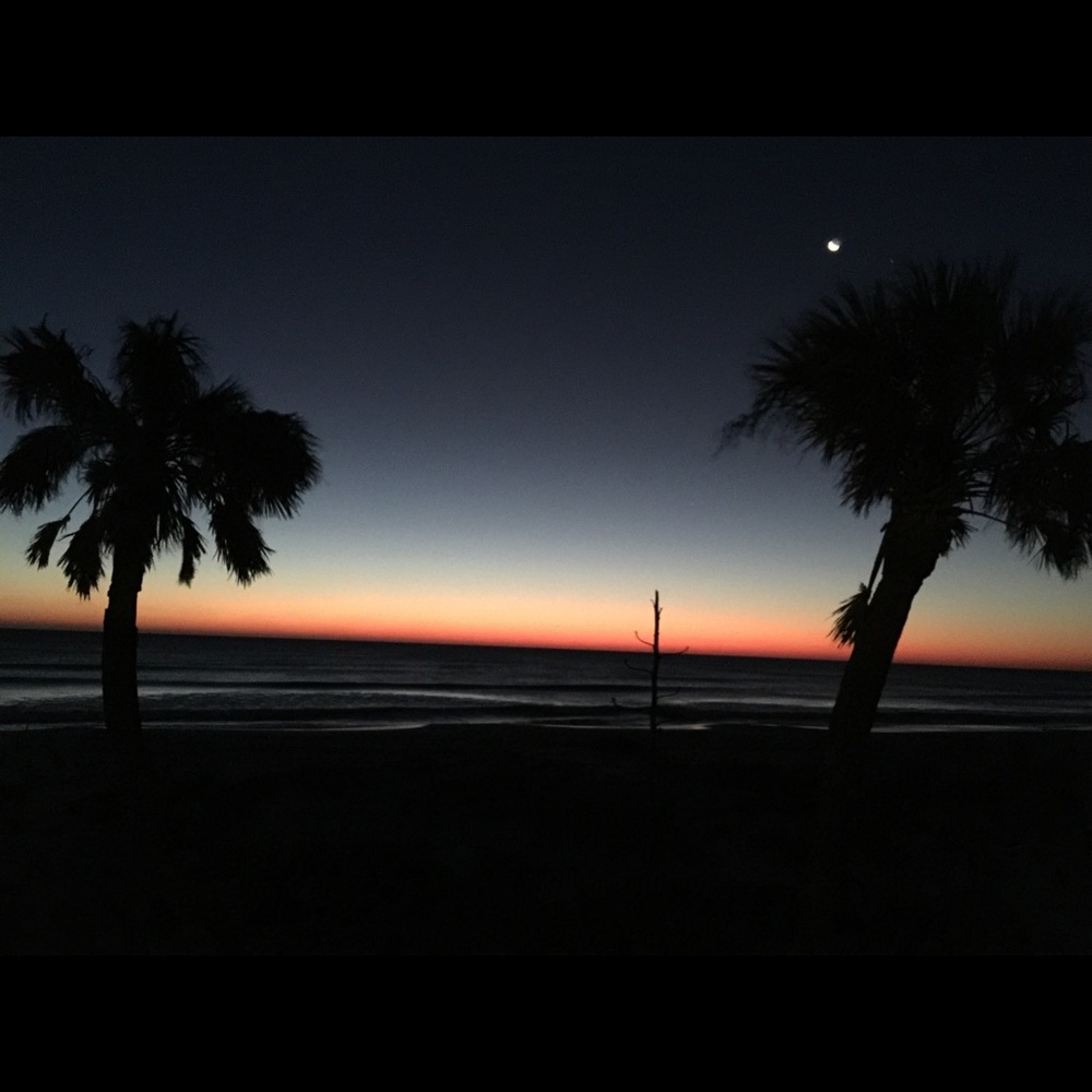 Meet your Posher, Daryl