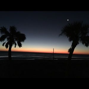 Meet your Posher, Daryl