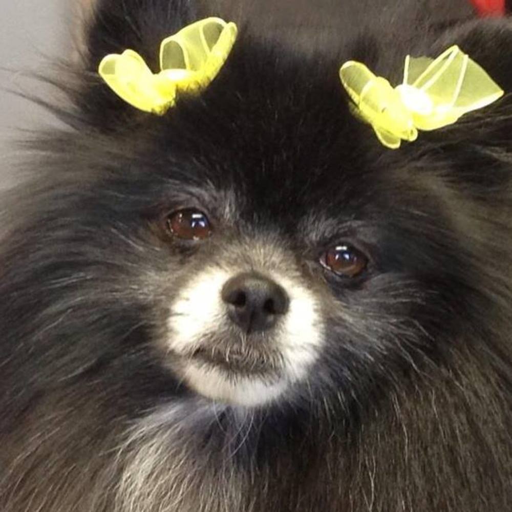 Meet your Posher, Kimberly