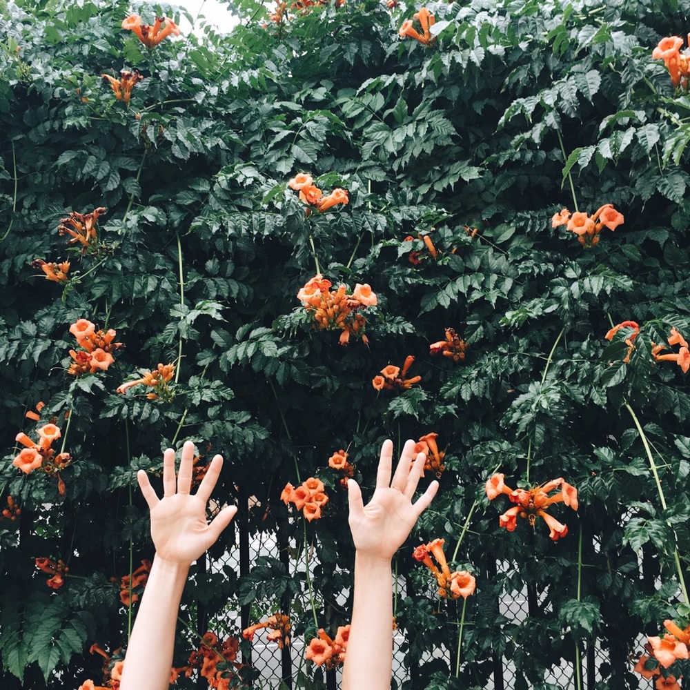 Meet your Posher, Megan