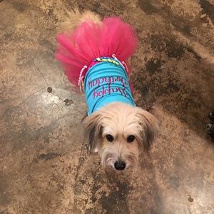 Meet your Posher, Penelope