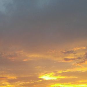 Meet your Posher, Frank