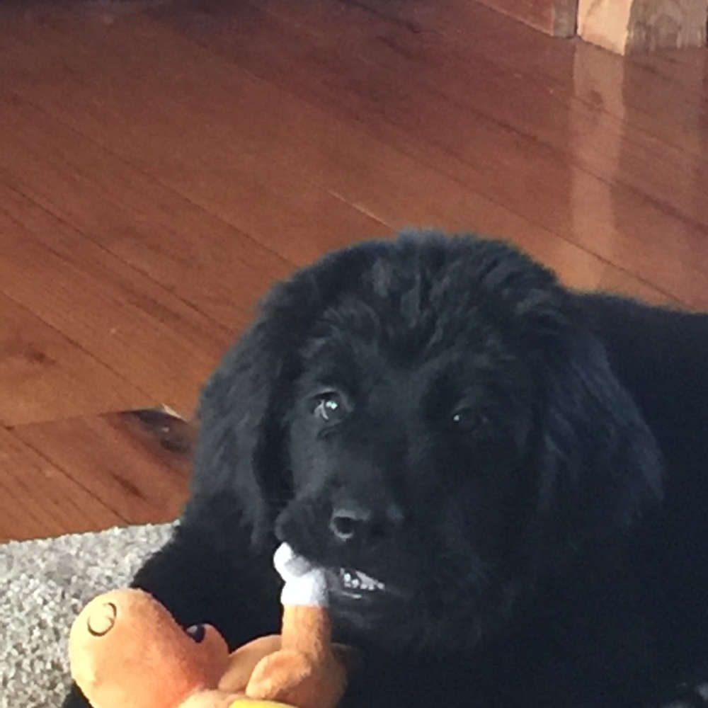 Meet your Posher, Patricia