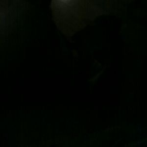 Meet your Posher, Katrina