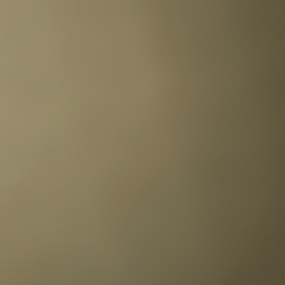 Meet your Posher, Arianna