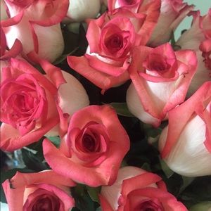 Meet your Posher, Wendy