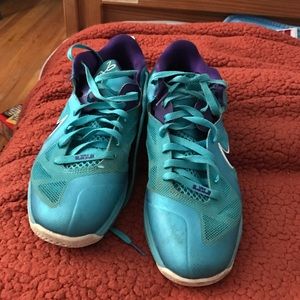 Lebron 9 Hornet Lows