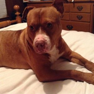 Meet your Posher, Barbara