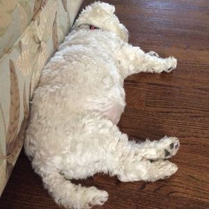 Meet your Posher, Jane