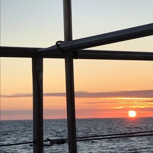 Meet your Posher, Bob