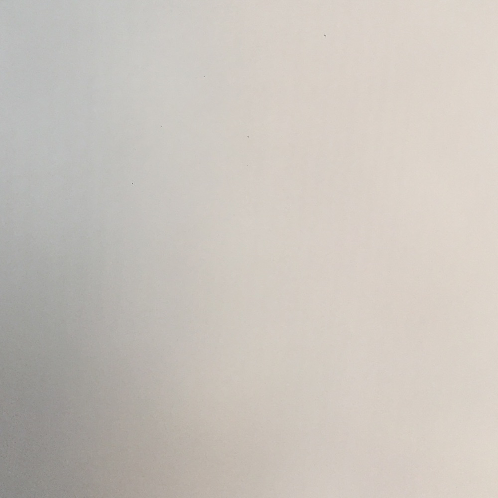 Meet your Posher, Annika