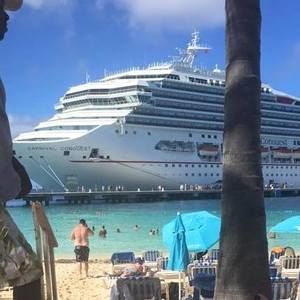 Meet your Posher, Carol