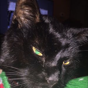 Meet your Posher, Melody