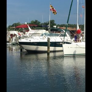 Meet your Posher, Donna