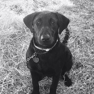 Meet your Posher, Austin