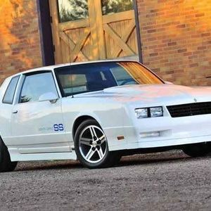 Meet your Posher, Coleen