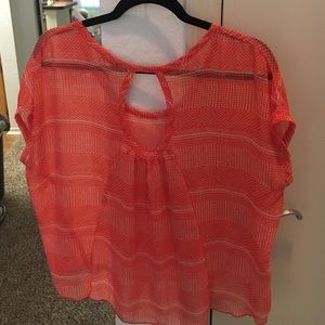 Charlotte Russe Tops - Charlotte Russe Sheer Blouse Charlotte Russe Tops - Charlotte Russe Sheer Blouse