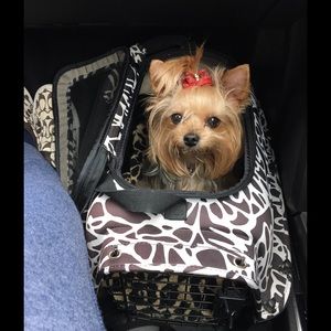 Meet your Posher, Peggy