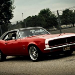 Meet your Posher, Tony