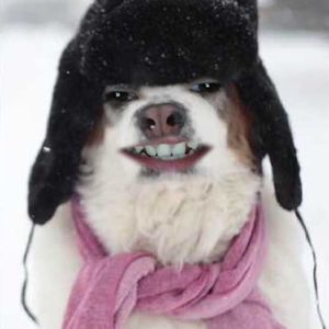 Meet your Posher, Aaron