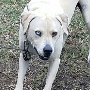 Meet your Posher, Sundra