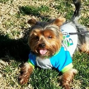 Meet your Posher, Ann