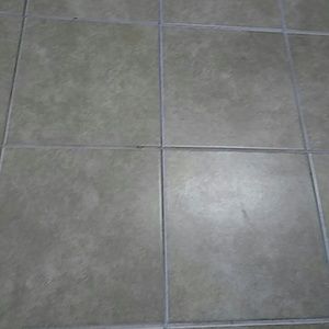 Meet your Posher, Reyna