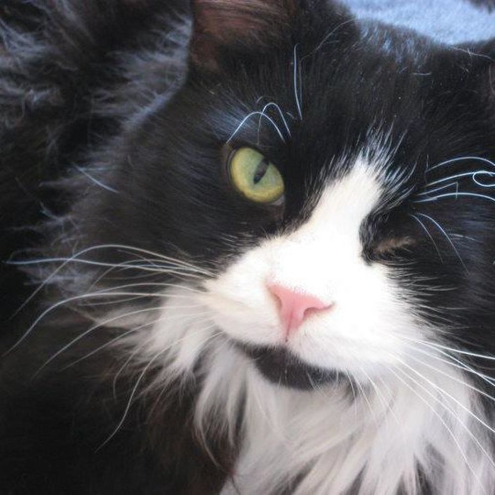 Meet your Posher, Carin