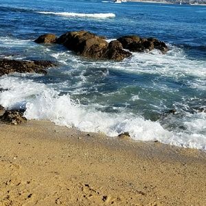 Meet your Posher, Jacqueline