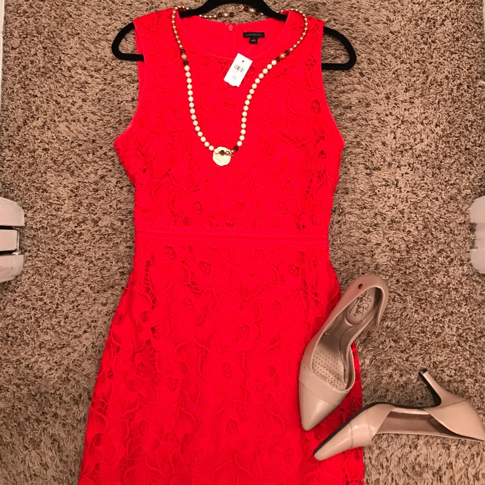 NWT Ann Taylor lace dress