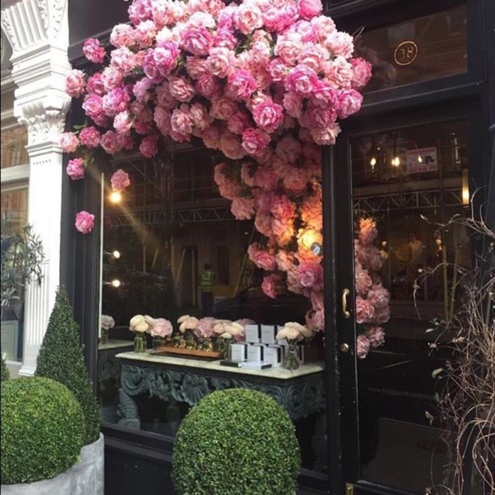 Meet your Posher, Ashlee