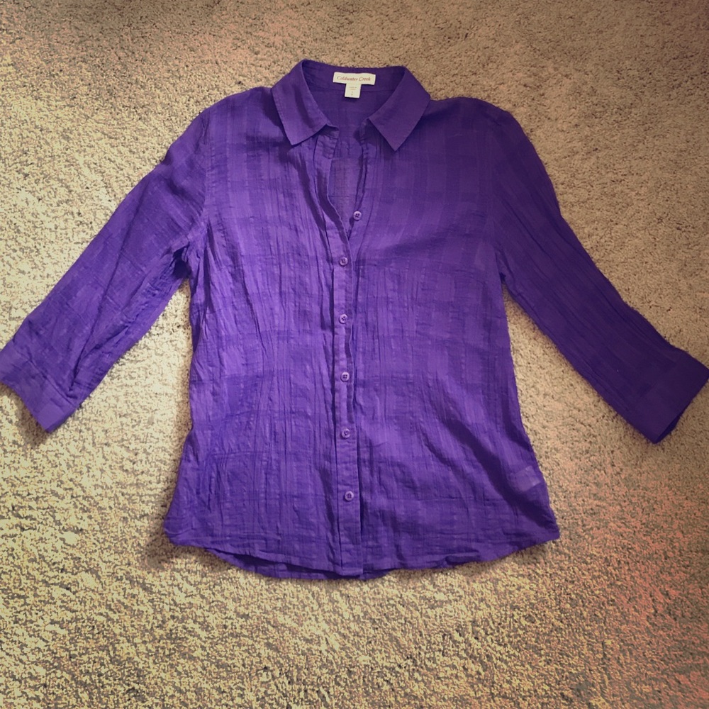 Sheer Button Up - image 1