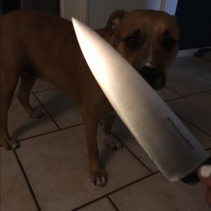 Meet your Posher, Larry